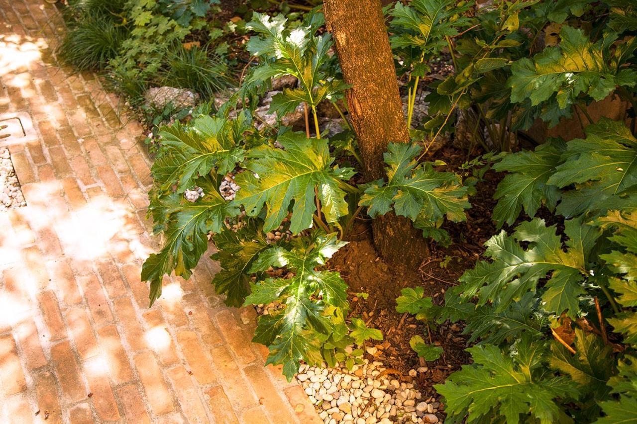 Urban Jungle Apartment Bologna Bagian luar foto