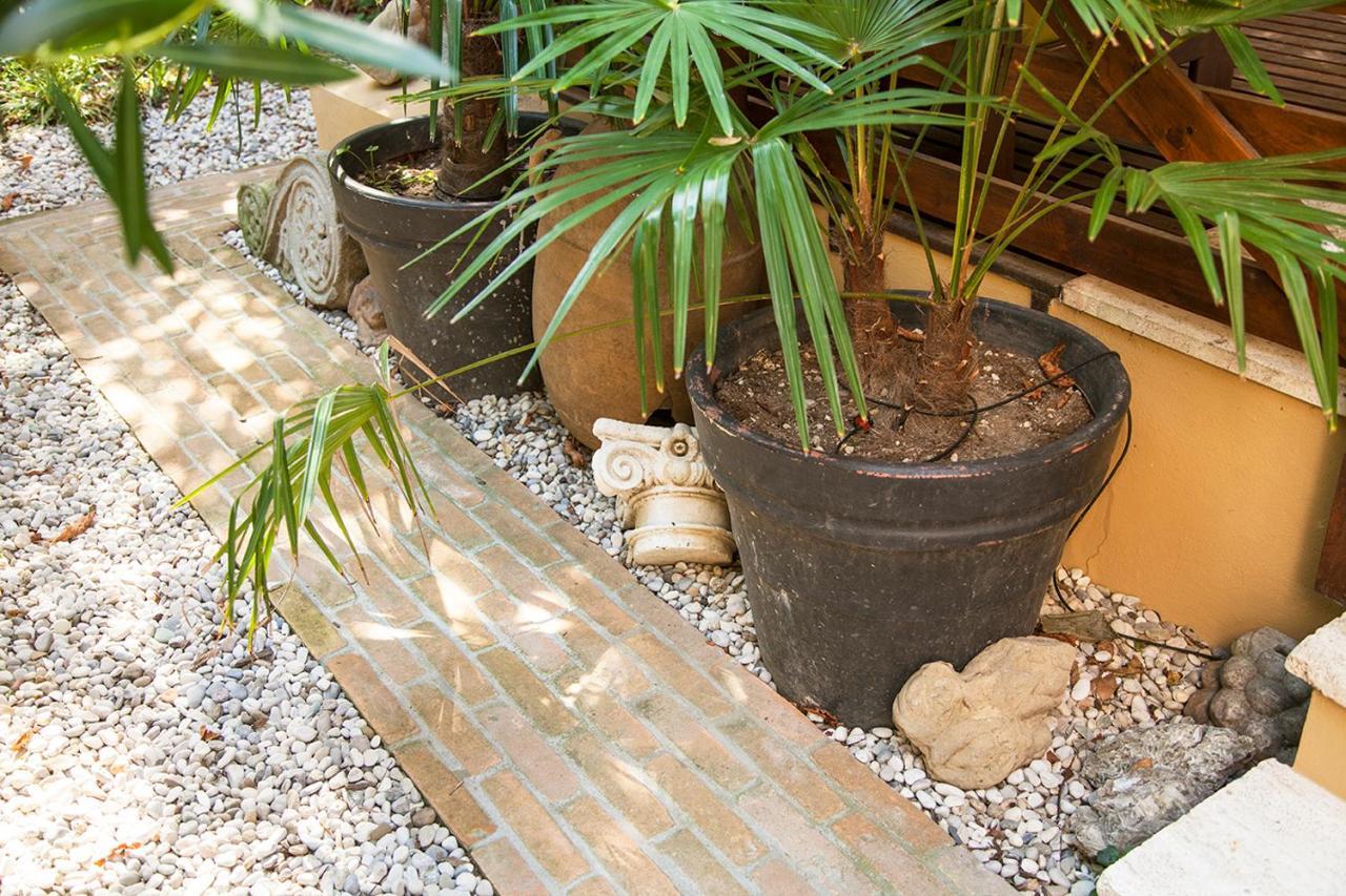 Urban Jungle Apartment Bologna Bagian luar foto