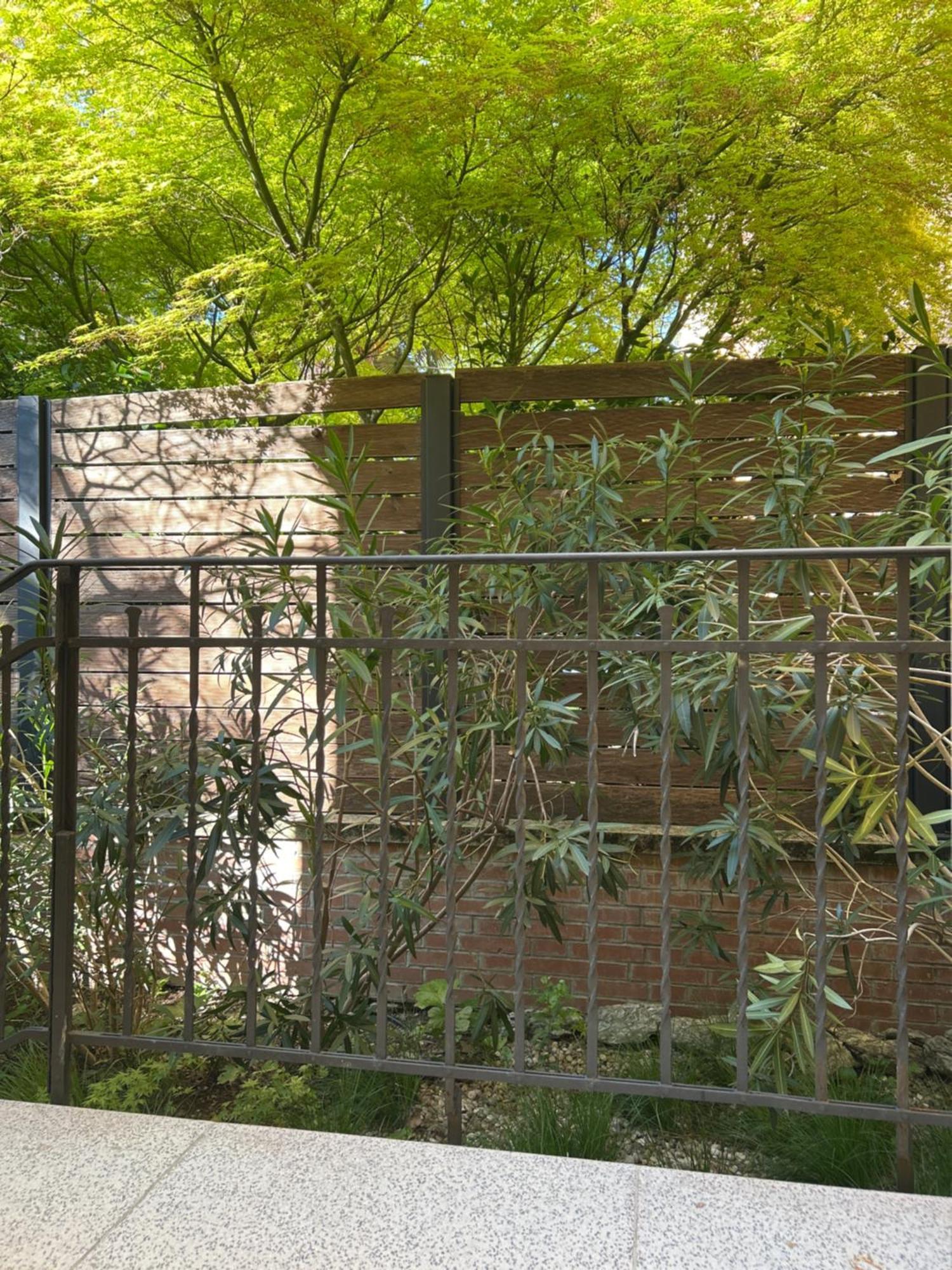 Urban Jungle Apartment Bologna Bagian luar foto